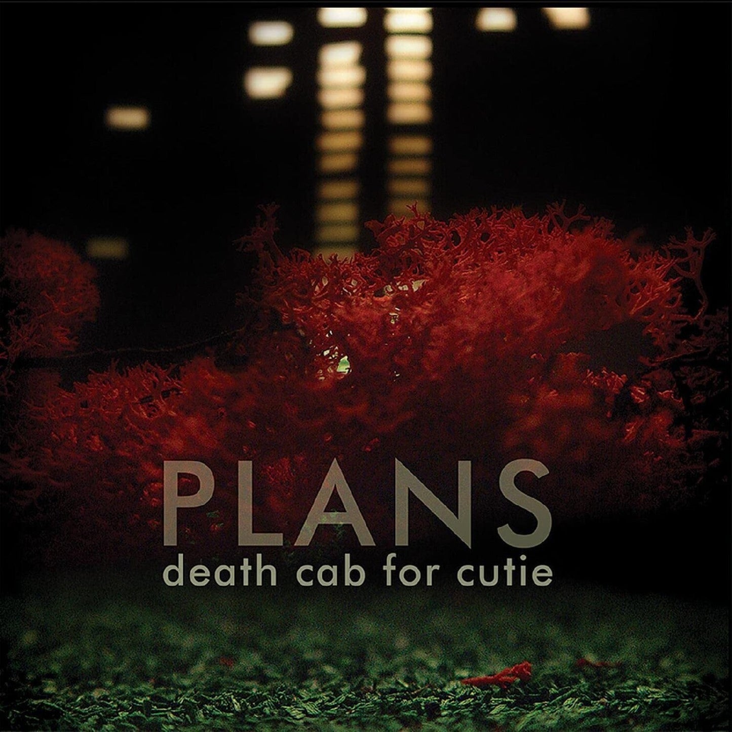 Plans (2LP)- Weekly Hype- {{Product type}}