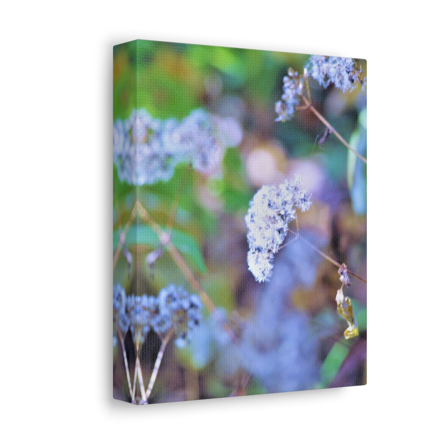 Macro Blue Stretched Canvas Printify