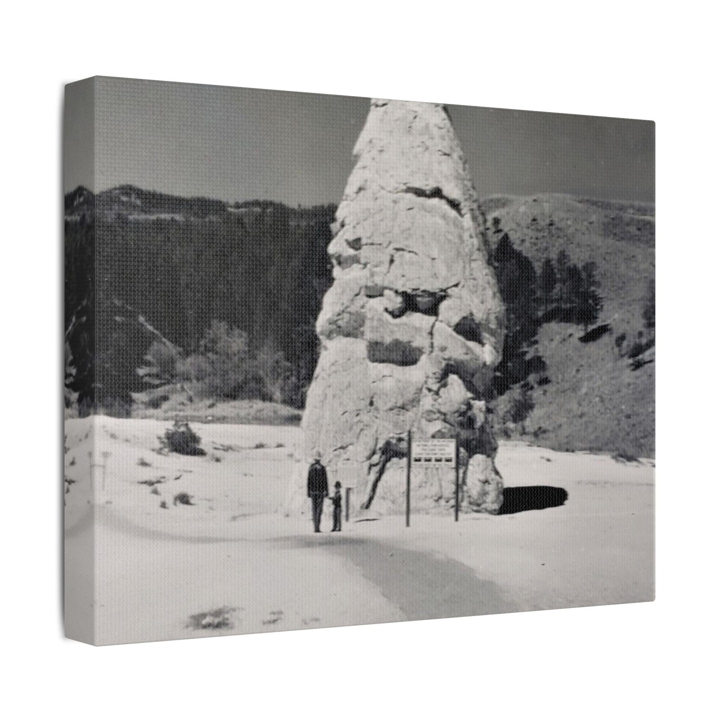 Liberty Cap Yellowstone Satin Canvas Stretched