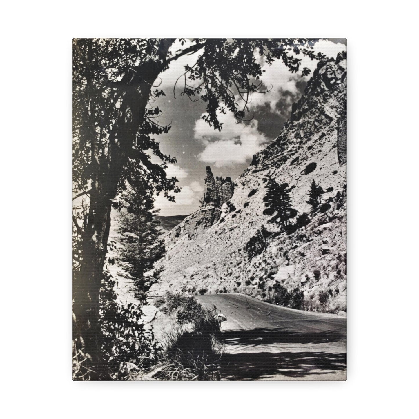 Eagles Nest Rock Yellowstone Stretched Canvas