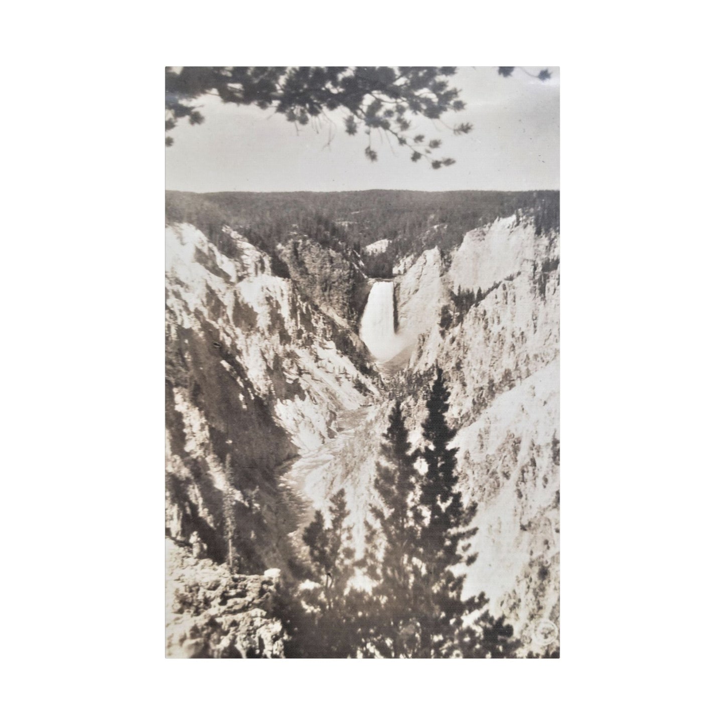 Artists Point Yellowstone Satin Canvas Stretched