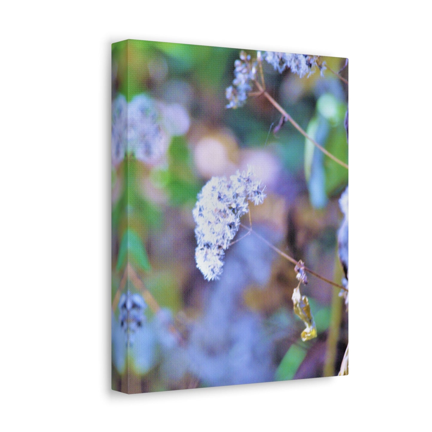 Macro Blue Stretched Canvas Printify