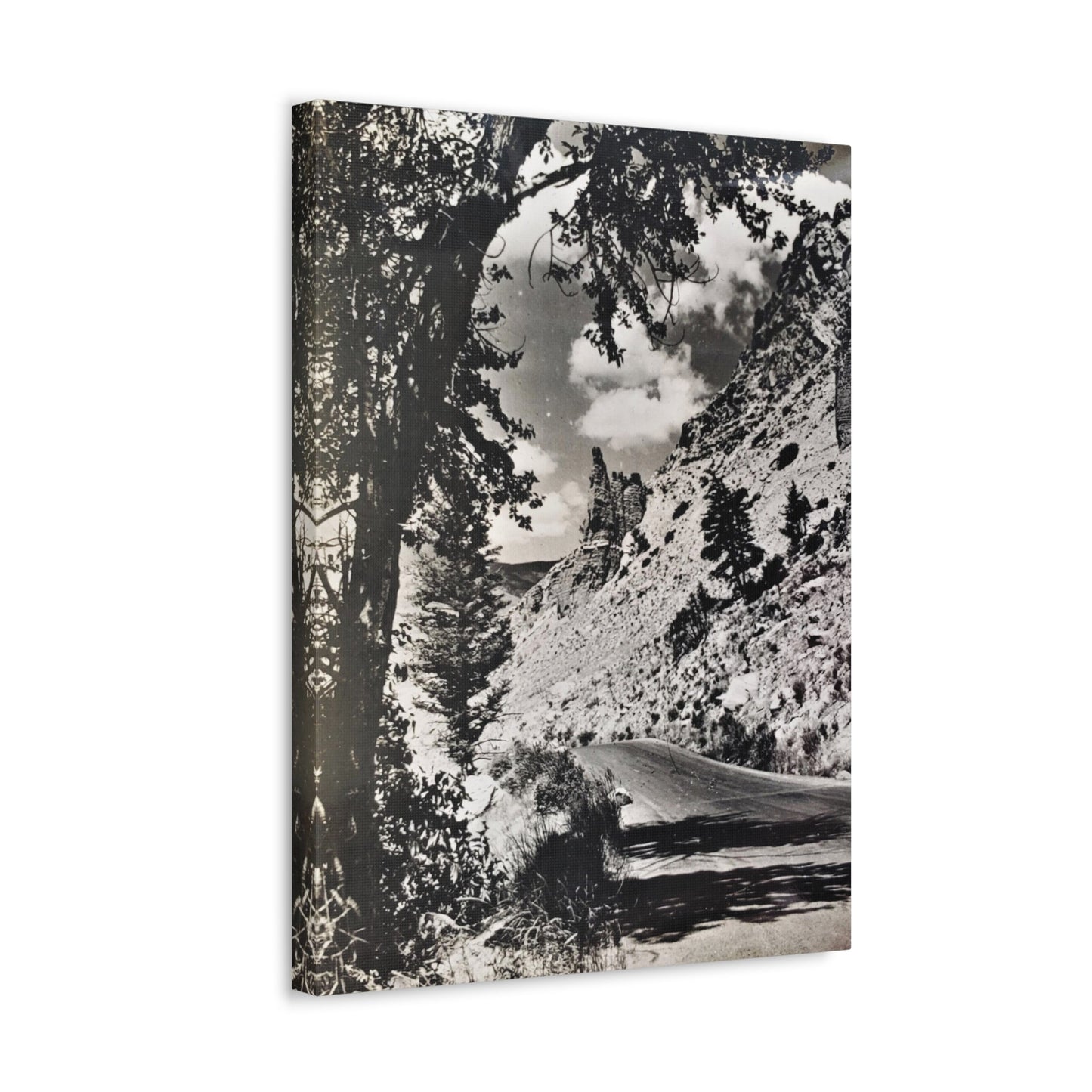 Eagles Nest Rock Yellowstone Stretched Canvas