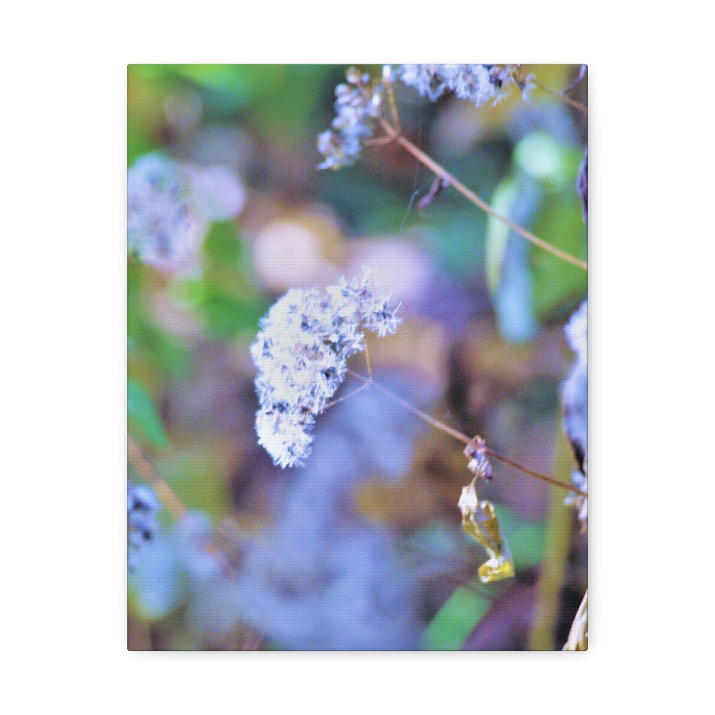 Macro Blue Stretched Canvas Printify