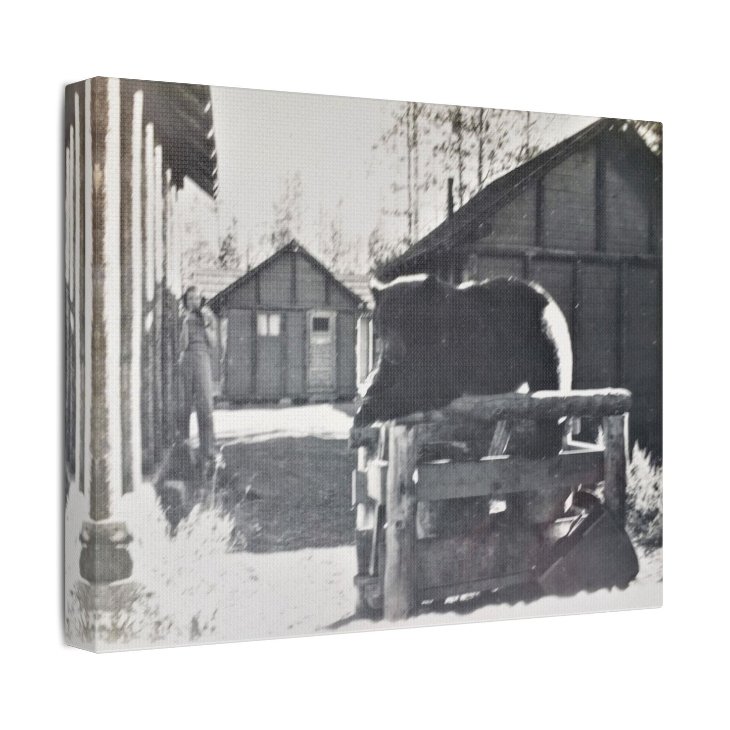 Yellowstone Bear Satin Canvas Stretched