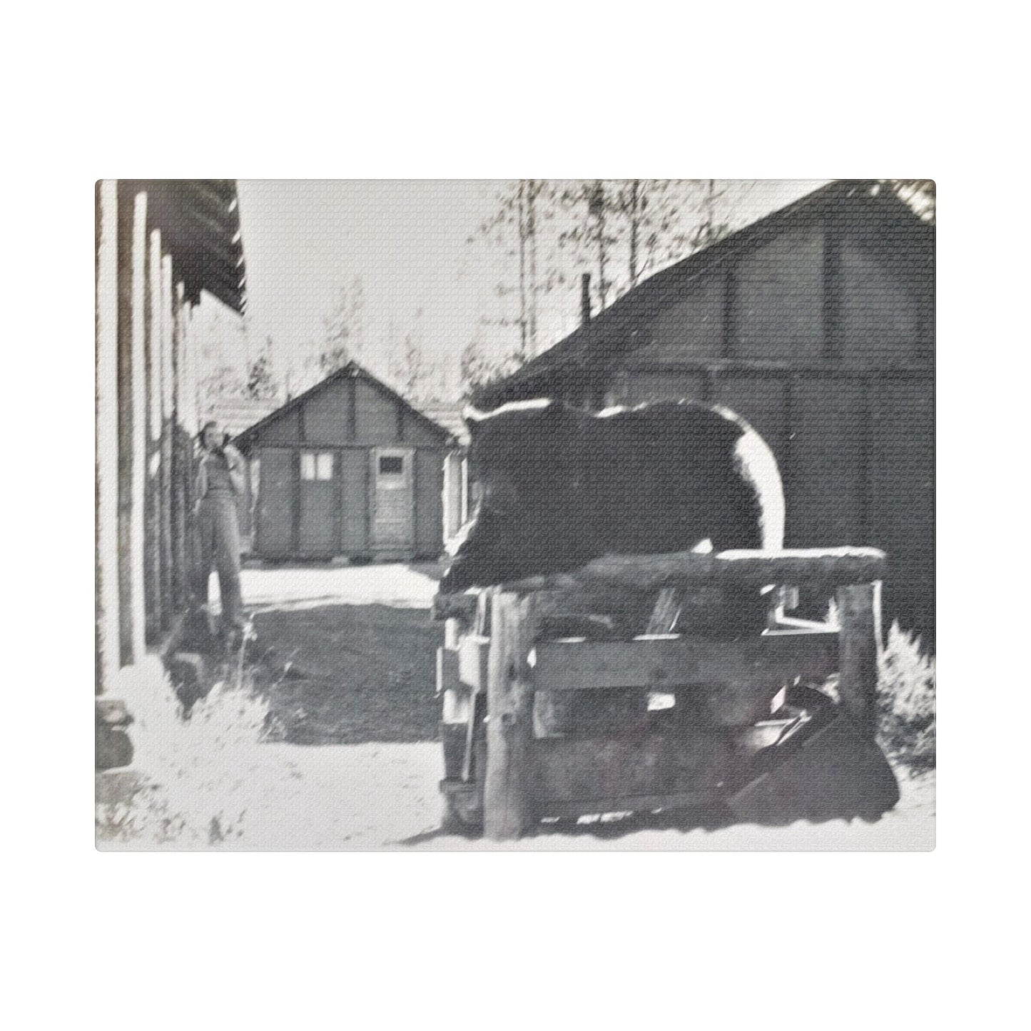 Yellowstone Bear Satin Canvas Stretched 10″ x 8″ (Horizontal) 1.5"