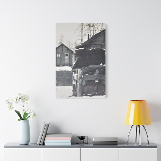 Yellowstone Bear Satin Canvas Stretched