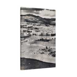 Springs at top of Jupiter Terrace Yellowstone Satin Canvas Stretched