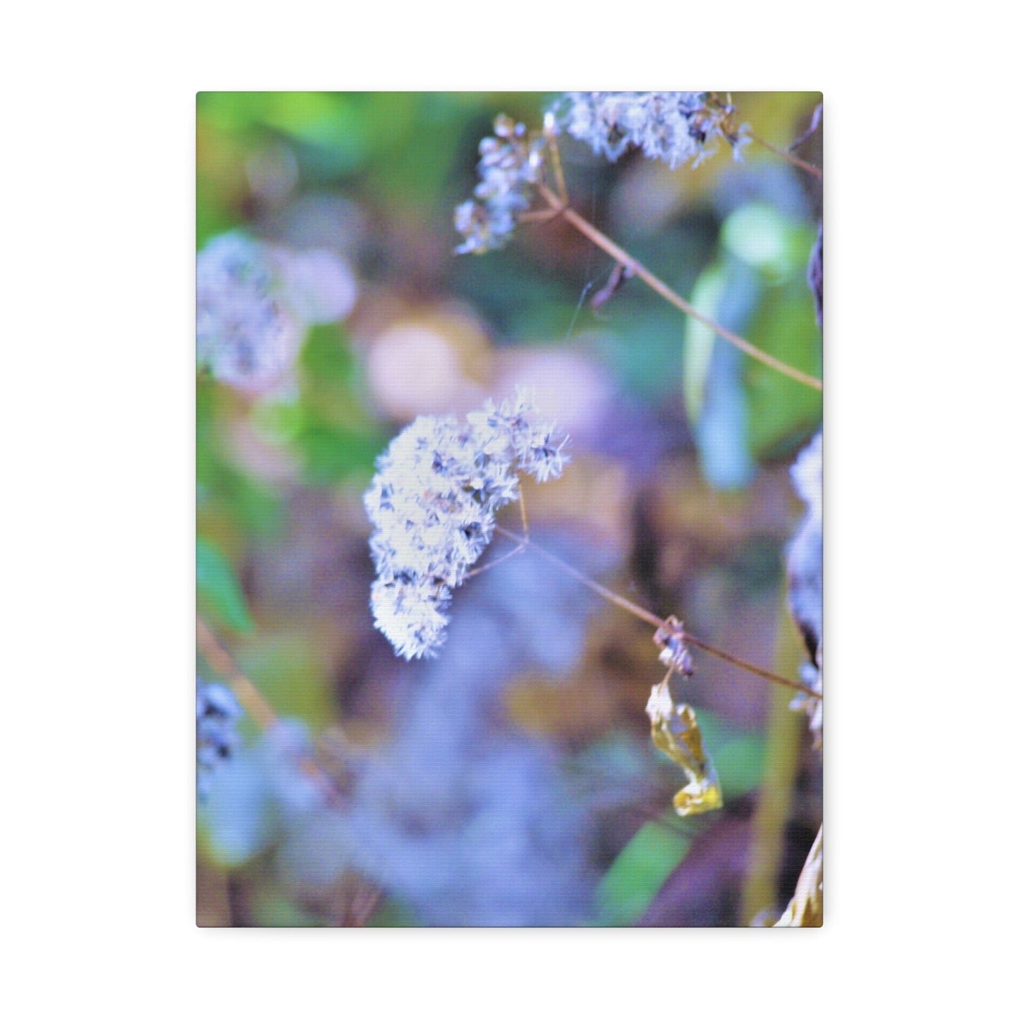 Macro Blue Stretched Canvas Printify