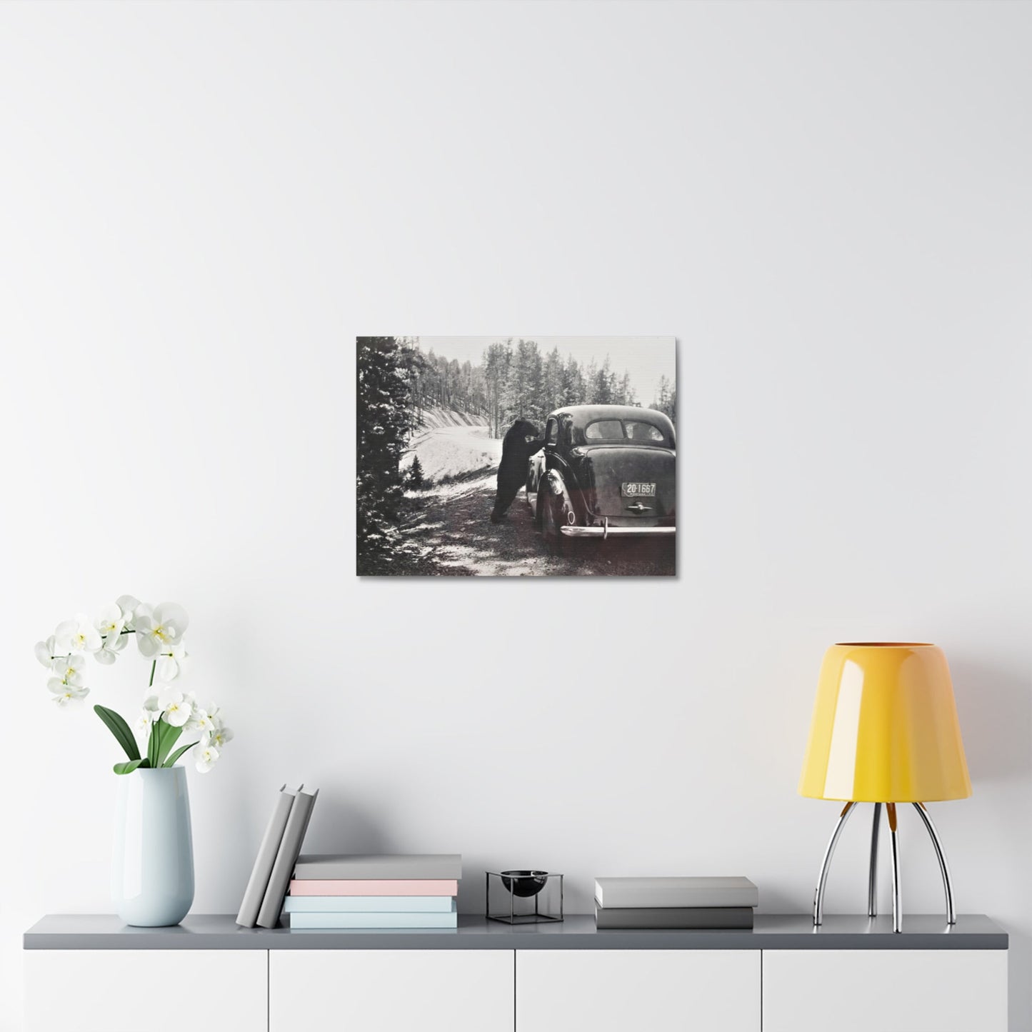 Yellowstone Bear Car Stretched Canvas 1.5" 24″ x 18″