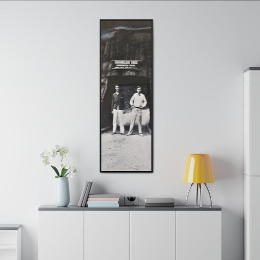 Chandelier Redwood Tree Gallery Canvas Wraps Vertical Frame 20″ x 60″ Premium Gallery Wraps (1.25″) Black