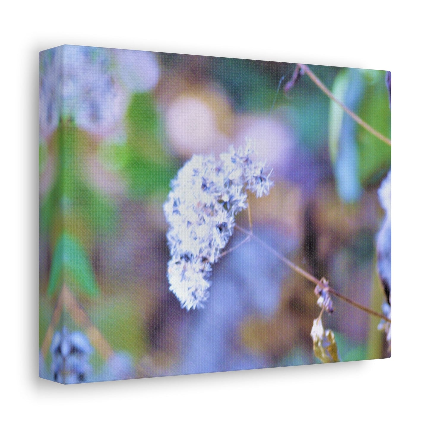 Macro Blue Stretched Canvas Printify