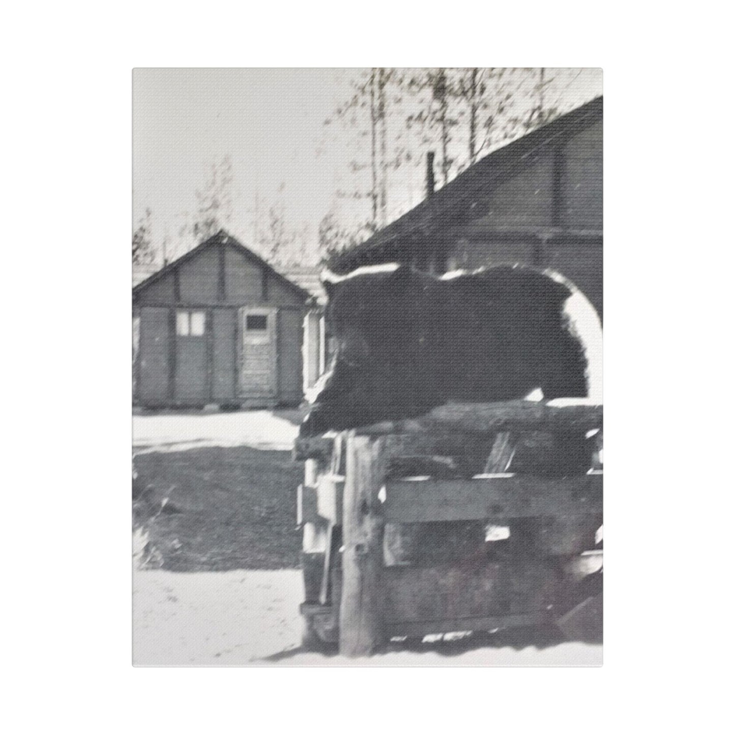 Yellowstone Bear Satin Canvas Stretched 11″ x 14″ (Vertical) 1.5"
