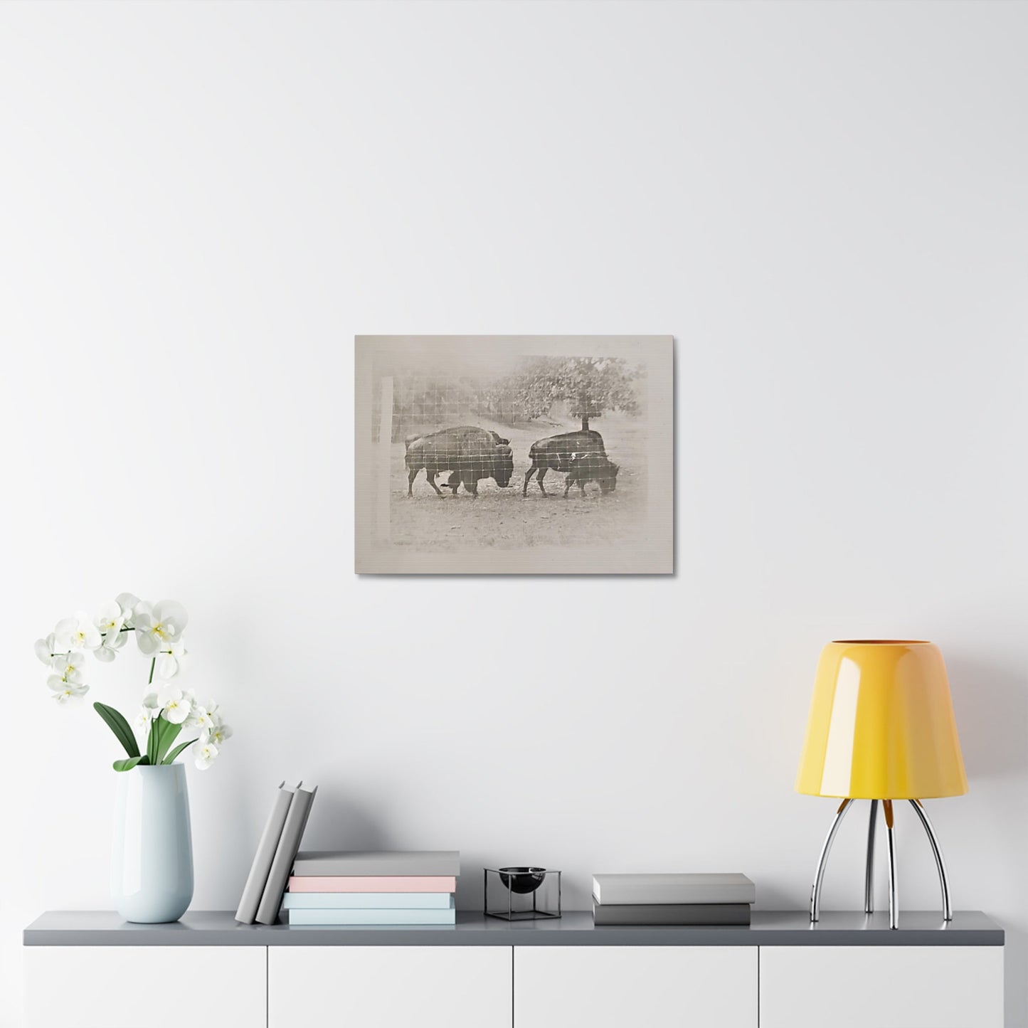 Buffalo at Redwood Falls Stretched Canvas 1.5" 24″ x 18″
