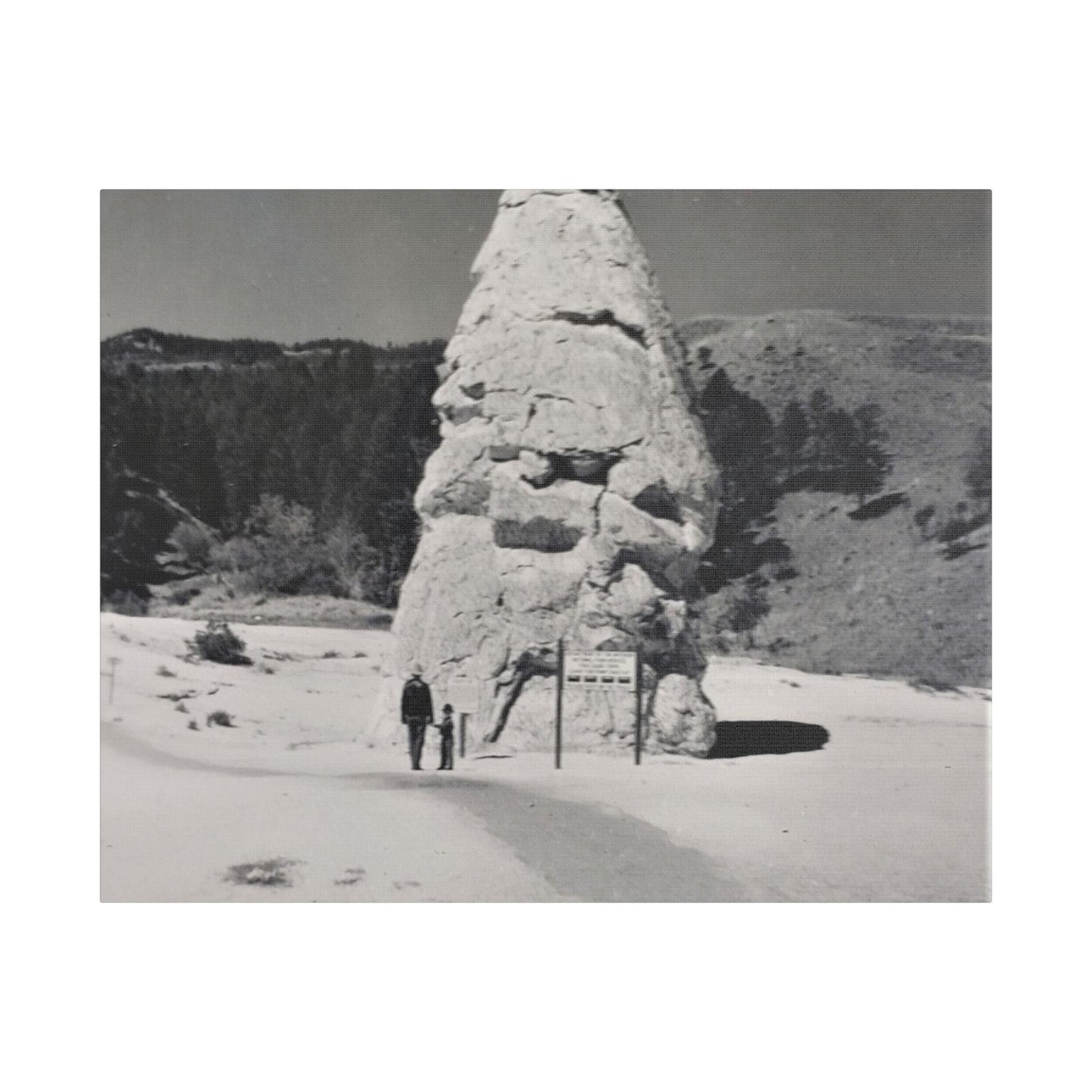 Liberty Cap Yellowstone Satin Canvas Stretched