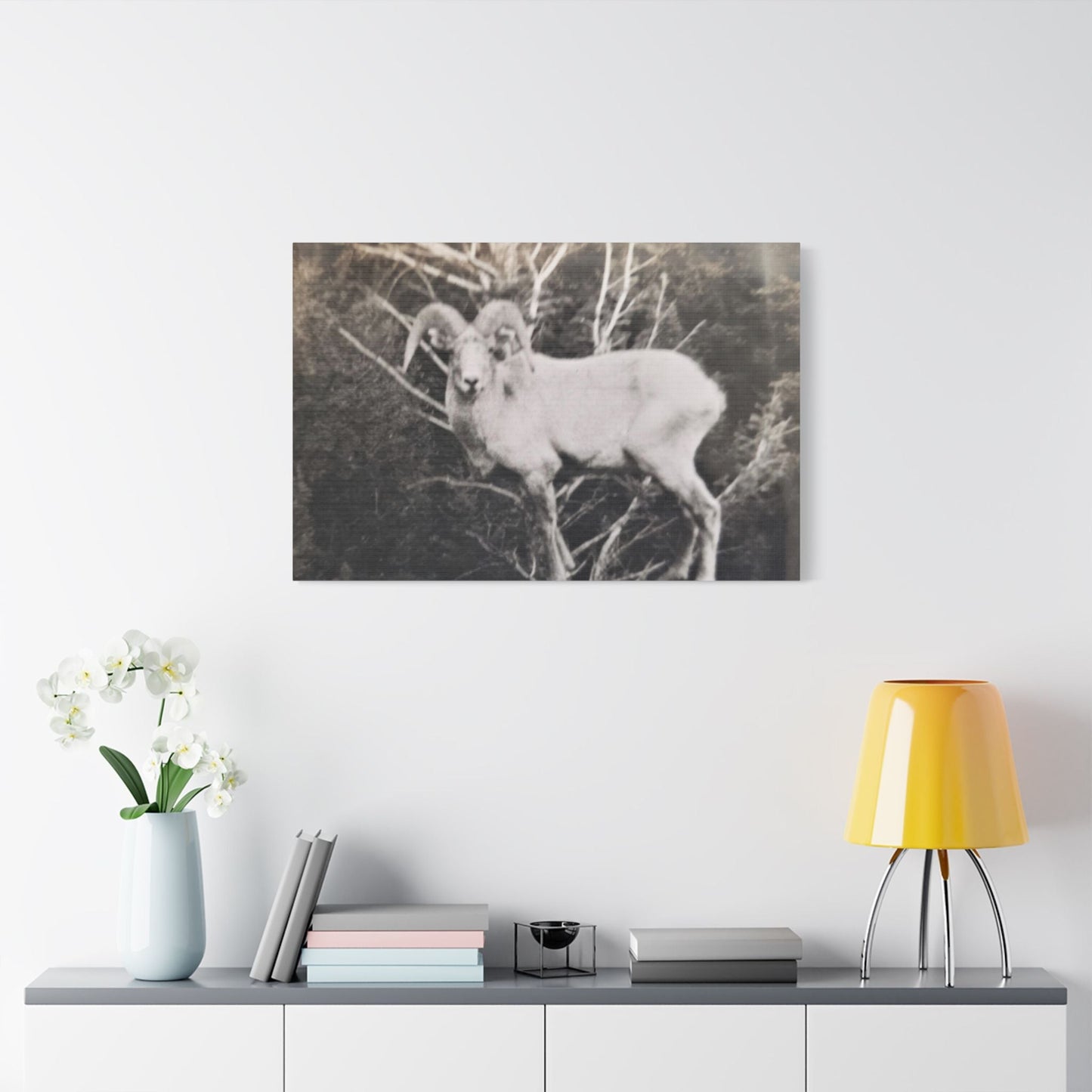 Yellowstone Big Horn Sheep Satin Canvas Stretched 36″ x 24″ (Horizontal) 1.5"