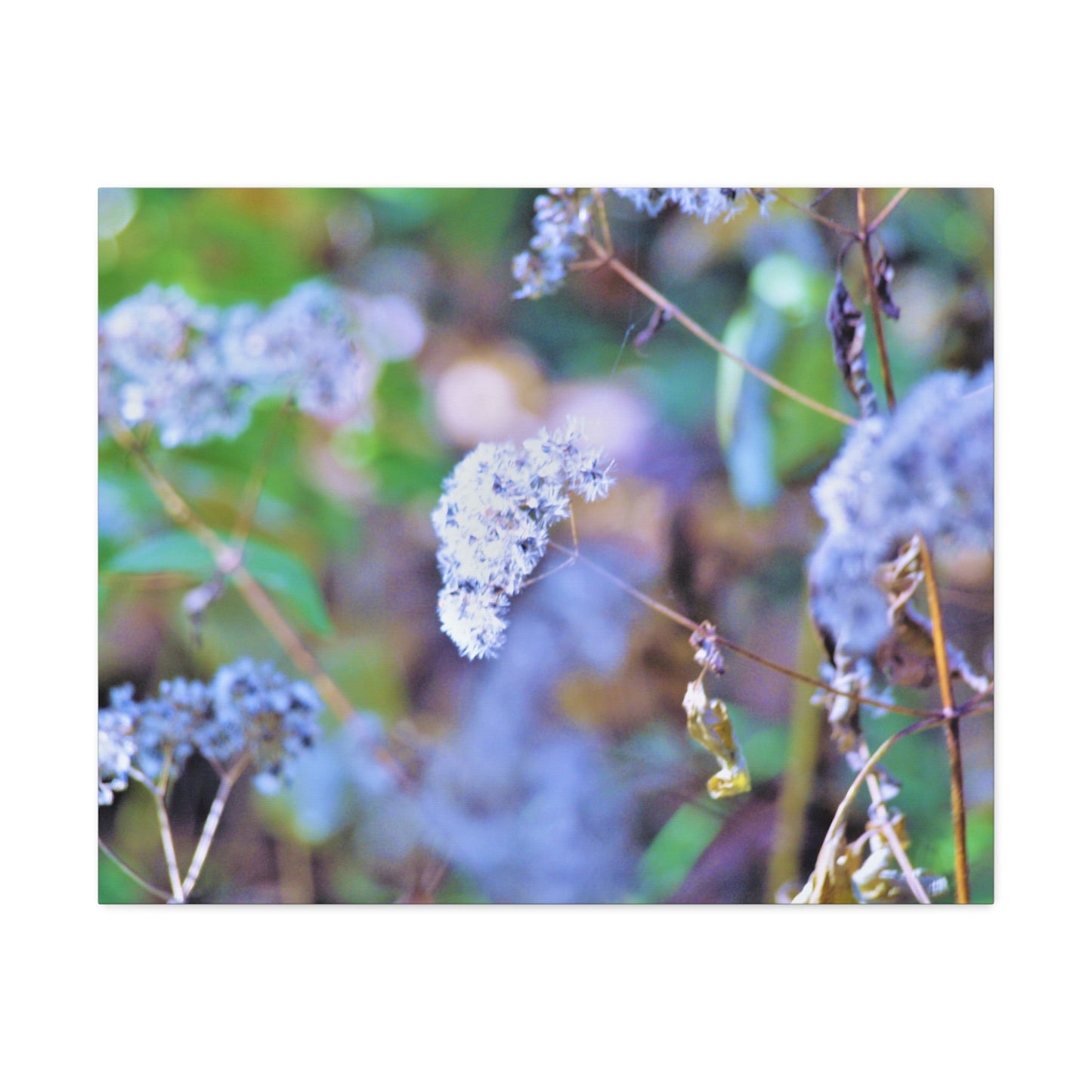 Macro Blue Stretched Canvas Printify
