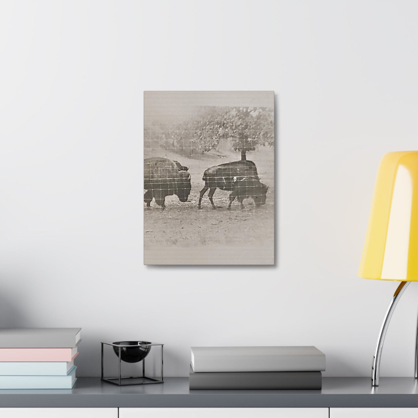 Buffalo at Redwood Falls Stretched Canvas 1.5" 12″ x 16″