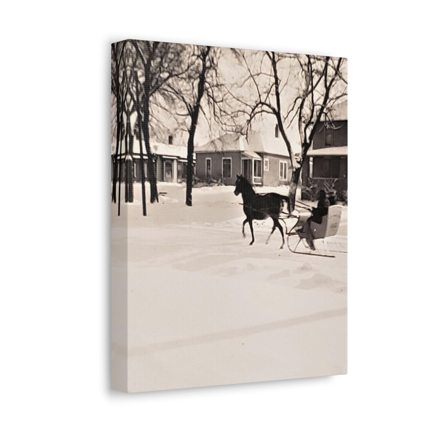 Carriage Ride Stretched Canvas