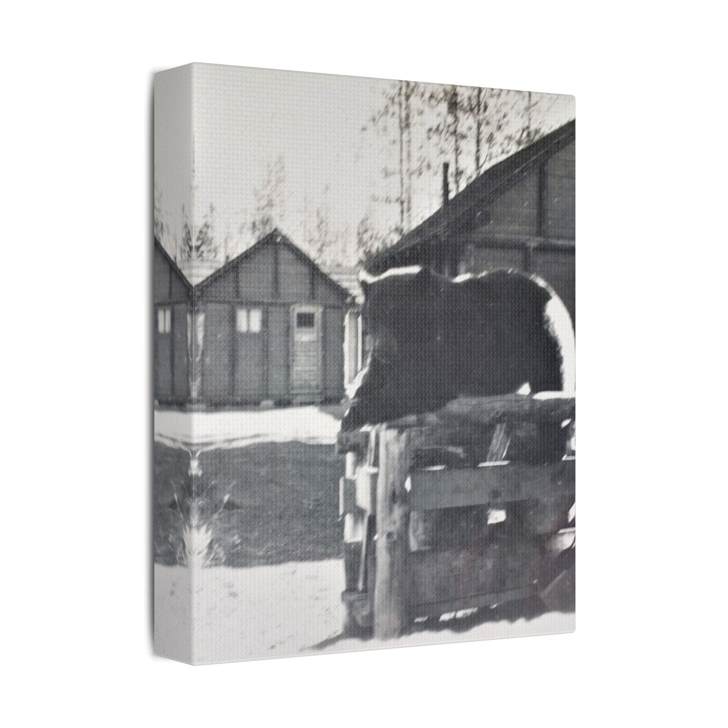 Yellowstone Bear Satin Canvas Stretched