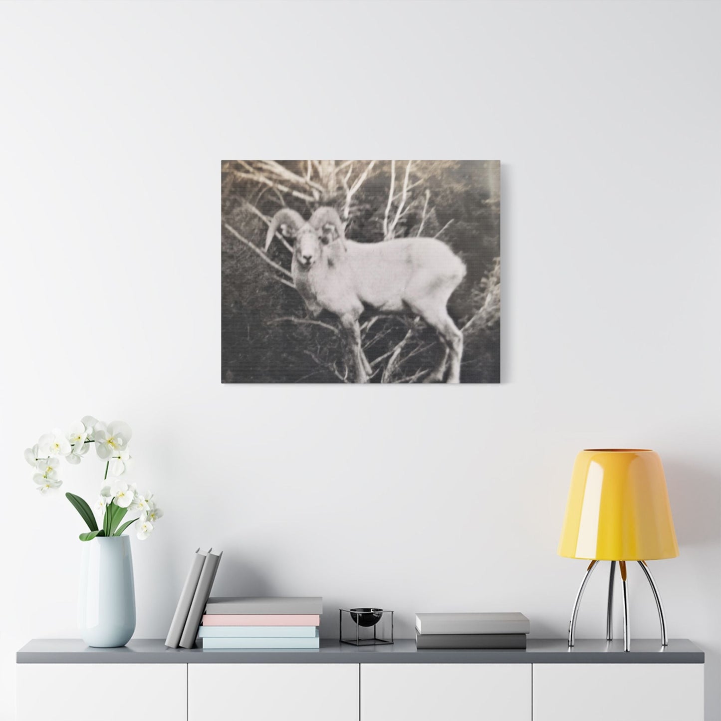 Yellowstone Big Horn Sheep Satin Canvas Stretched 30" x 24" (Horizontal) 1.5"