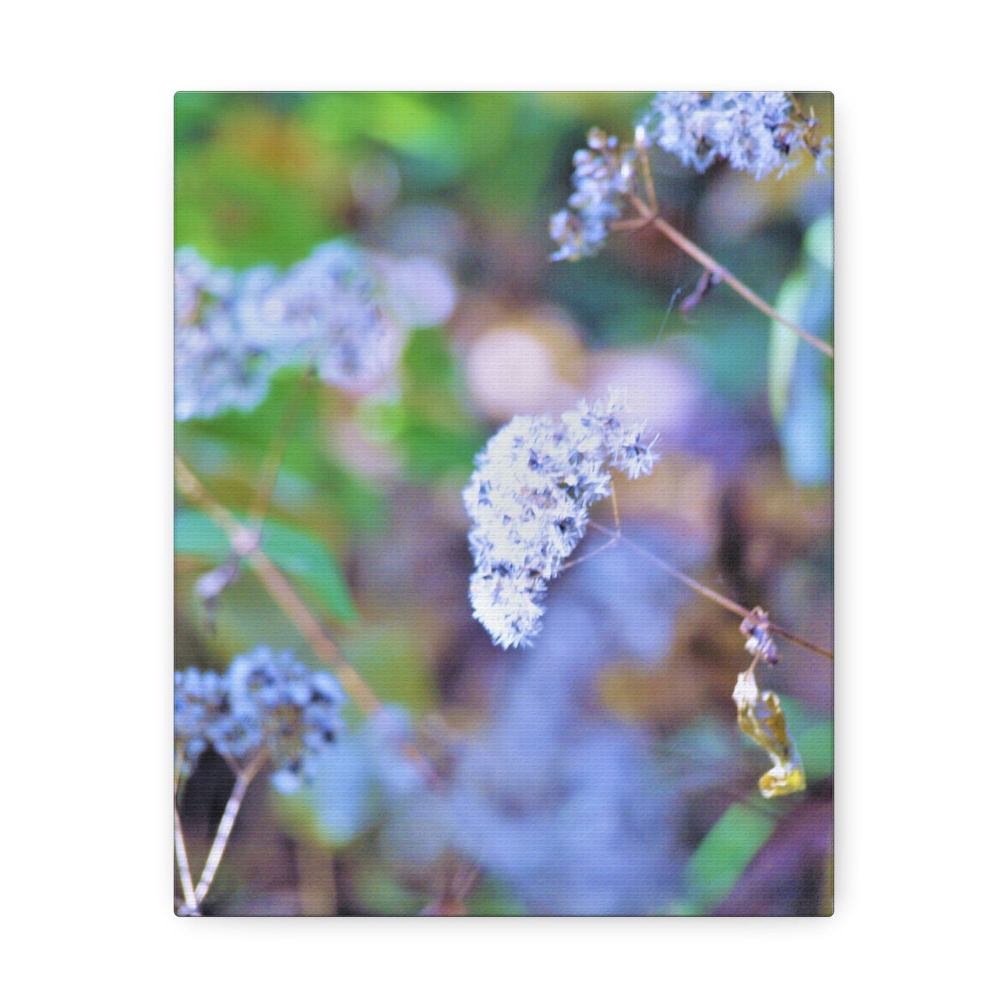Macro Blue Stretched Canvas Printify