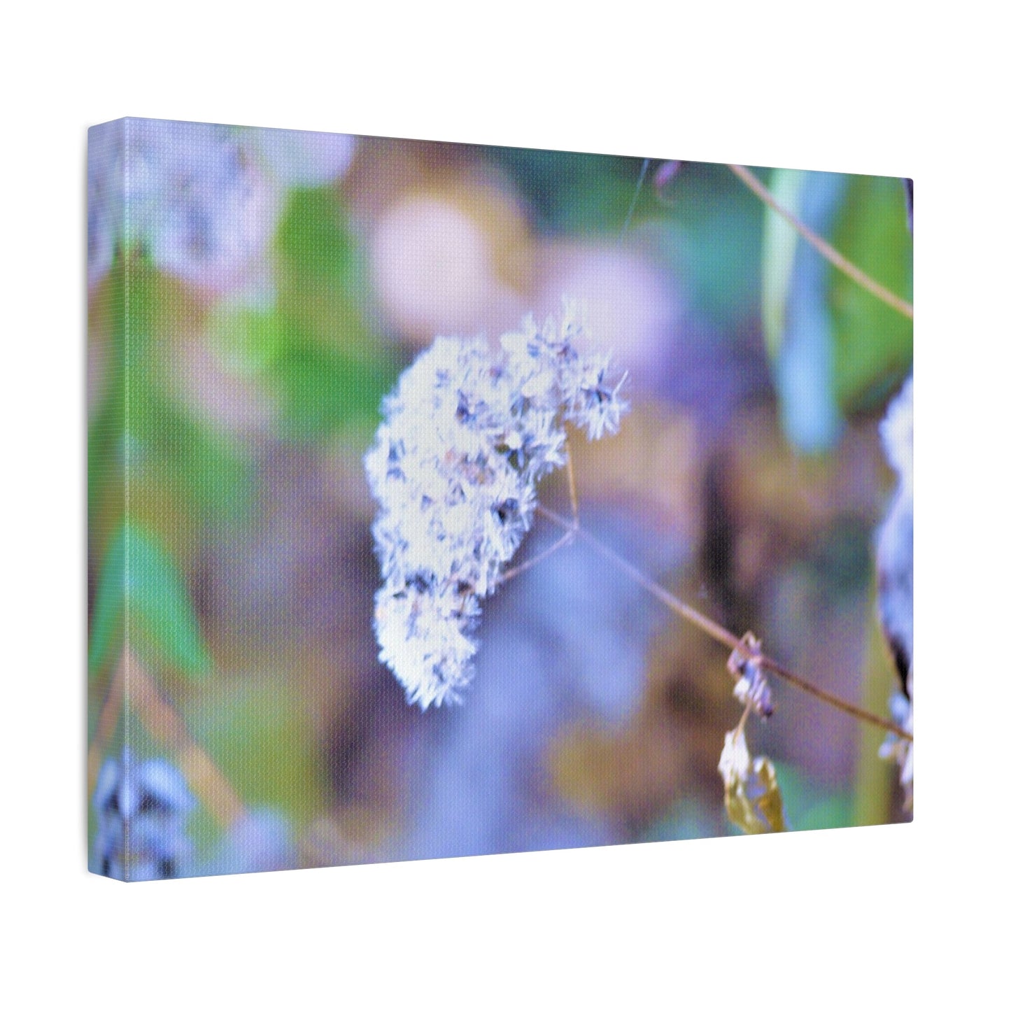 Macro Blue Stretched Canvas Printify