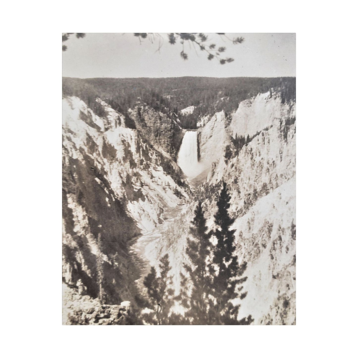 Artists Point Yellowstone Satin Canvas Stretched