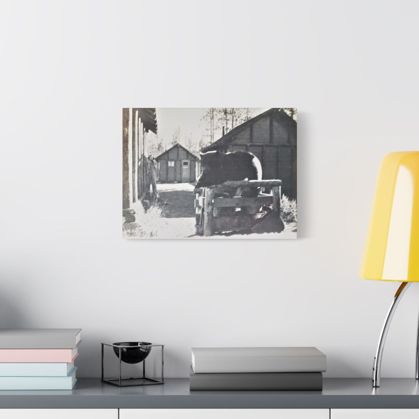 Yellowstone Bear Satin Canvas Stretched
