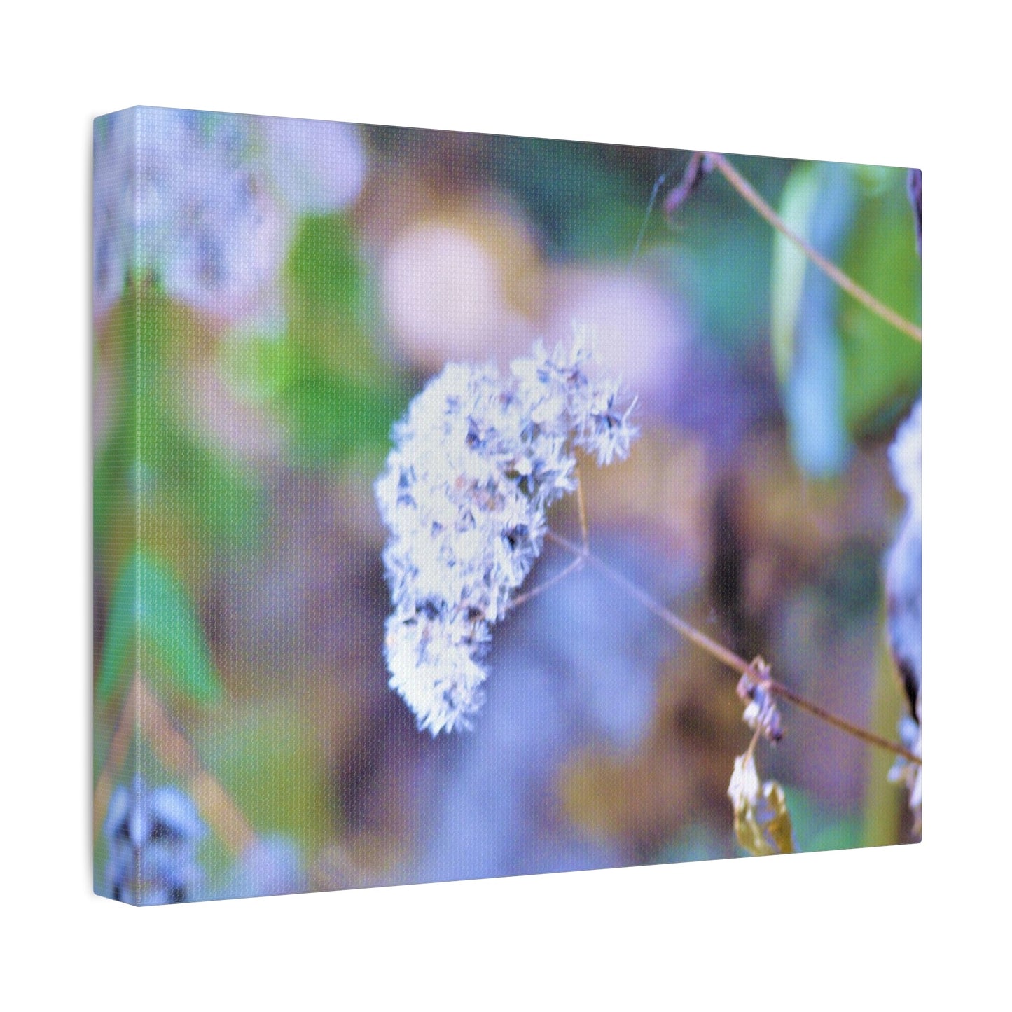Macro Blue Stretched Canvas Printify