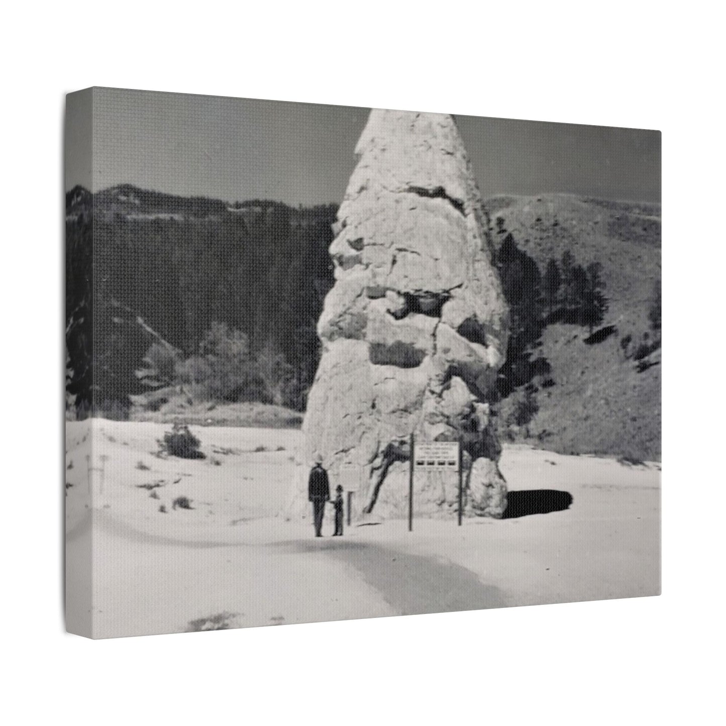 Liberty Cap Yellowstone Satin Canvas Stretched