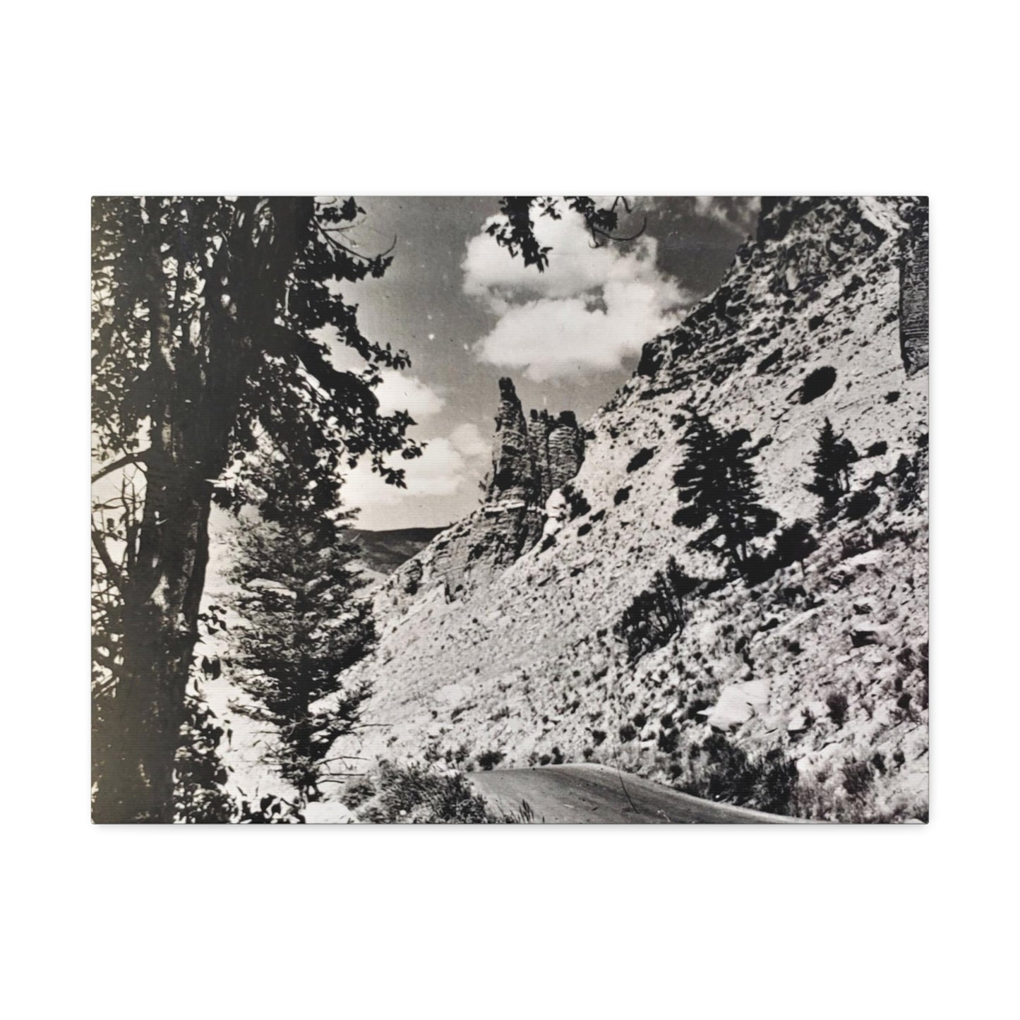 Eagles Nest Rock Yellowstone Stretched Canvas