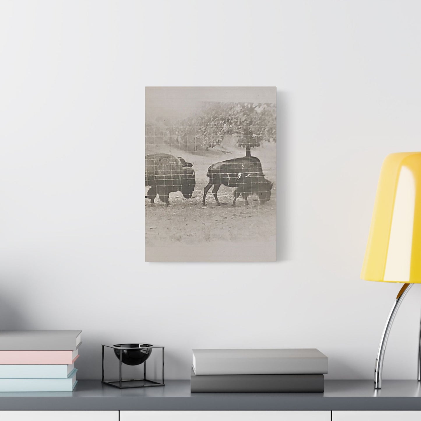 Buffalo at Redwood Falls Satin Canvas Stretched 12″ x 16″ (Vertical) 1.5"