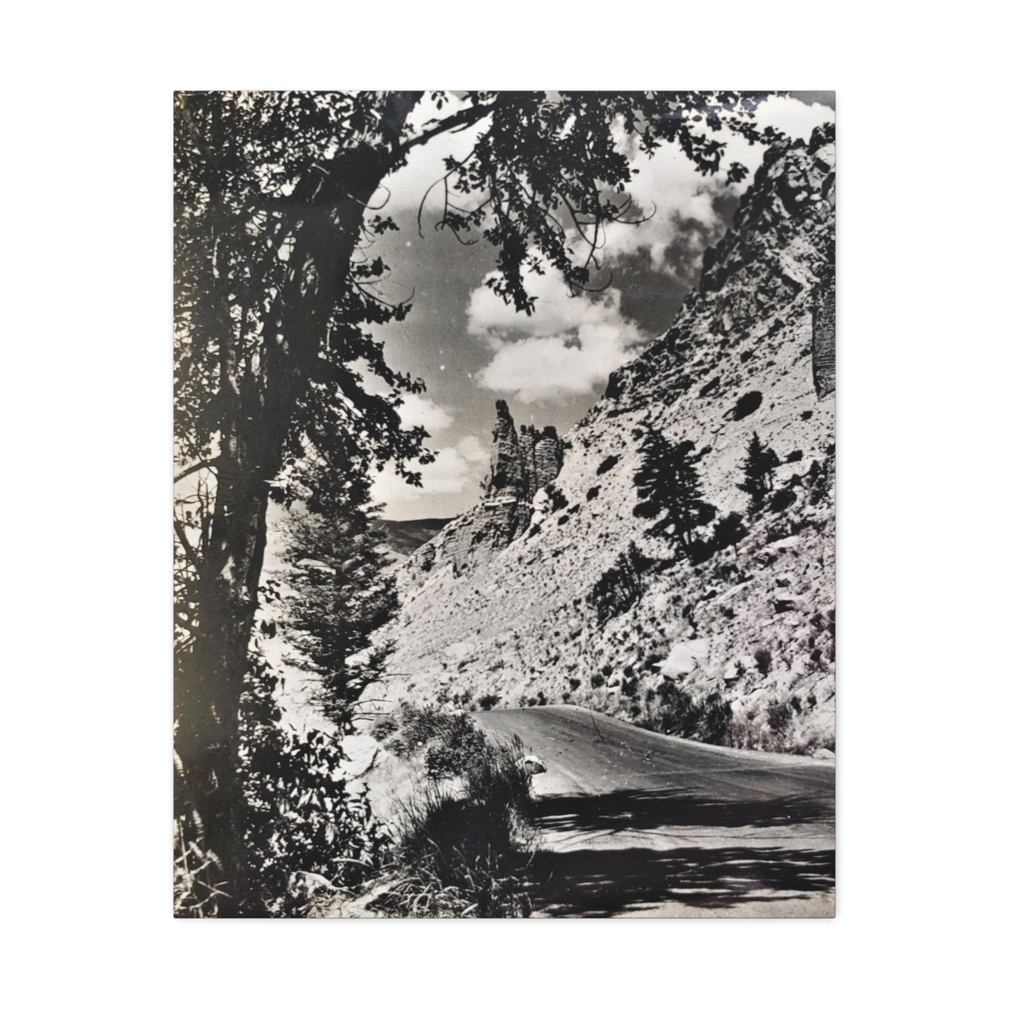 Eagles Nest Rock Yellowstone Stretched Canvas