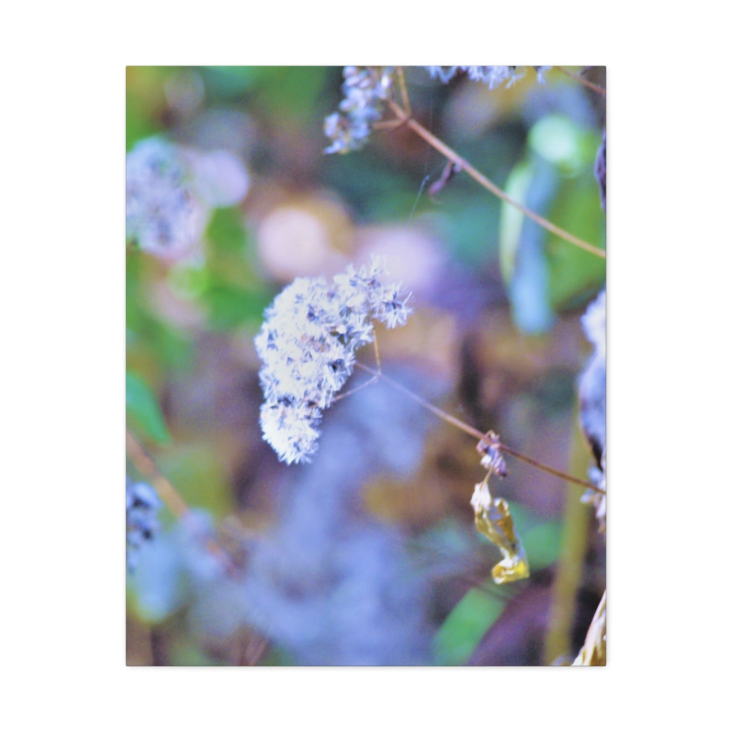 Macro Blue Stretched Canvas Printify