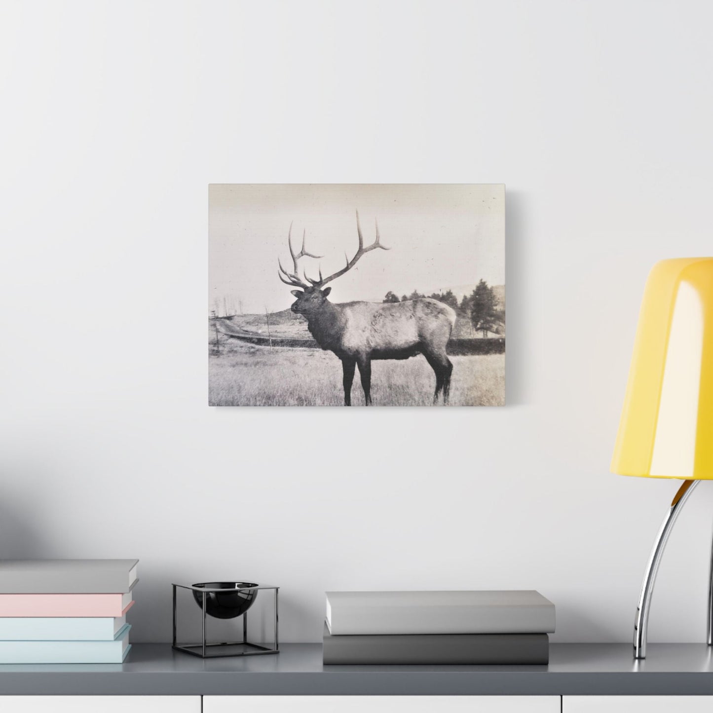 Yellowstone Bull Elk Satin Canvas Stretched 16″ x 12″ (Horizontal) 1.5"