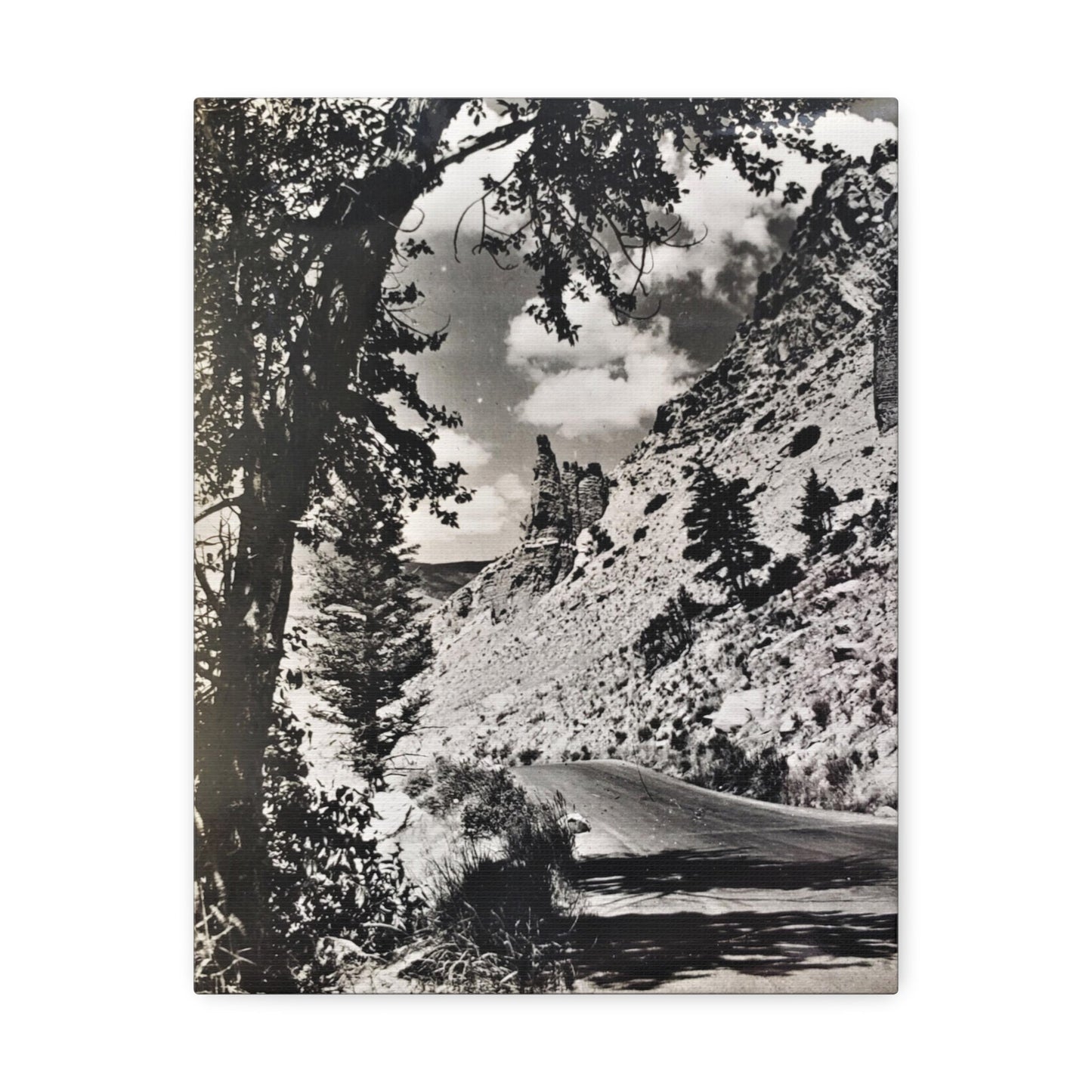 Eagles Nest Rock Yellowstone Stretched Canvas