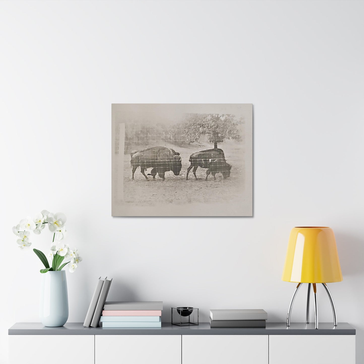 Buffalo at Redwood Falls Stretched Canvas 1.5" 30″ x 24″