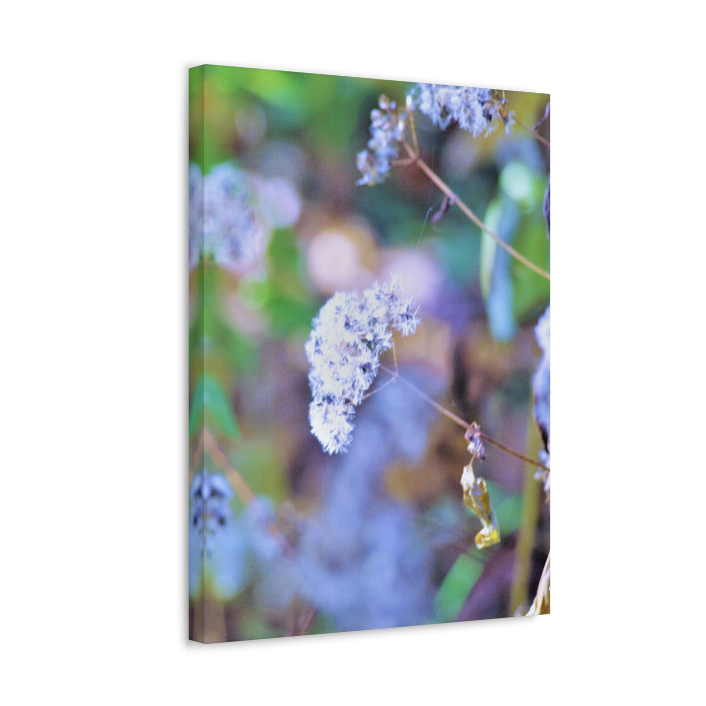 Macro Blue Stretched Canvas Printify