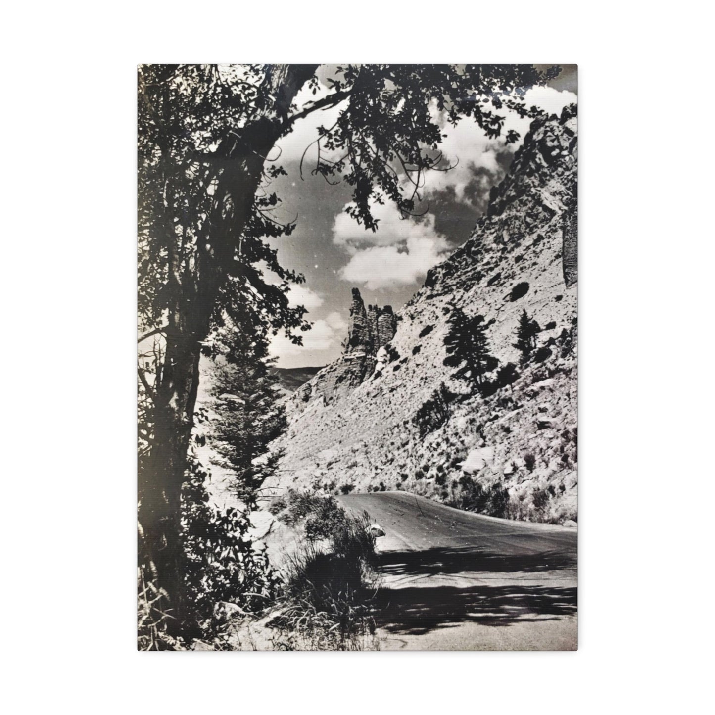 Eagles Nest Rock Yellowstone Stretched Canvas