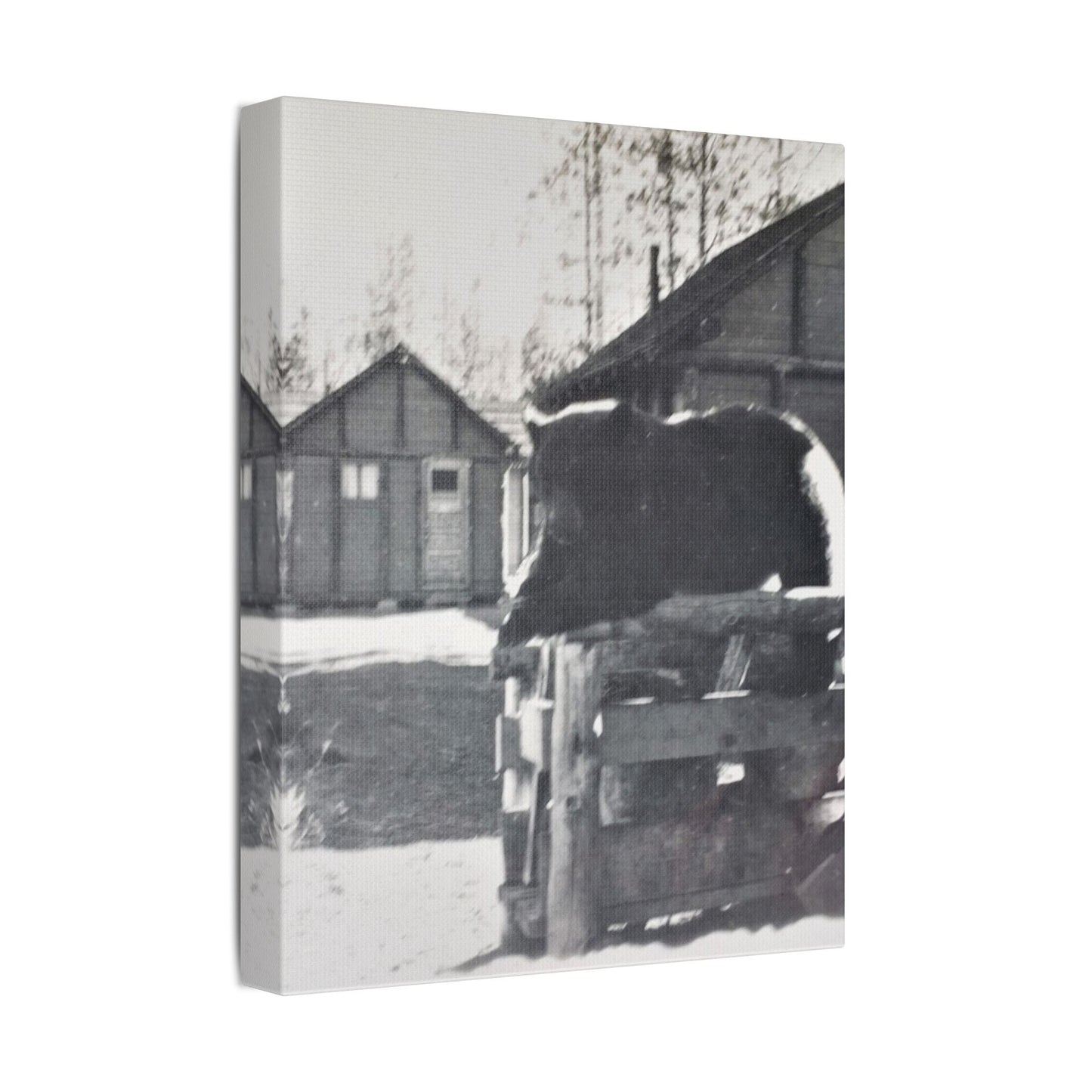 Yellowstone Bear Satin Canvas Stretched