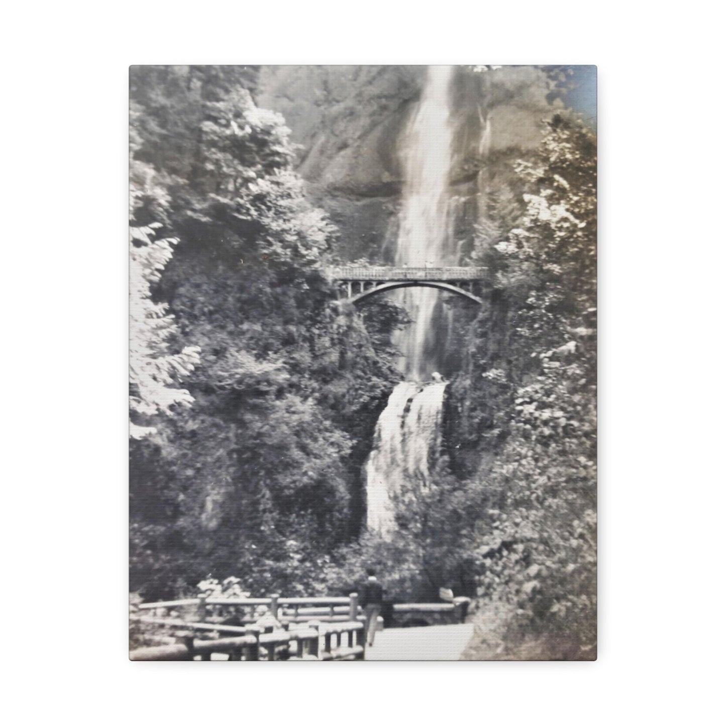 Multnomah Falls Oregon Stretched Canvas