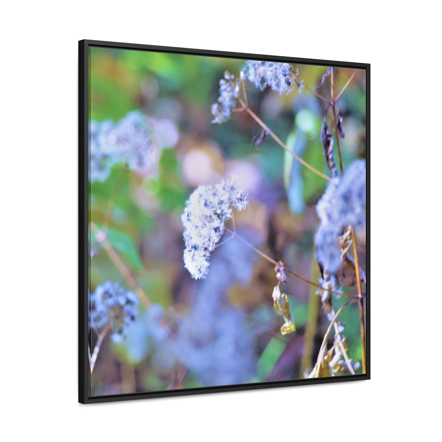 Macro Blue Gallery Canvas Wraps Square Frame