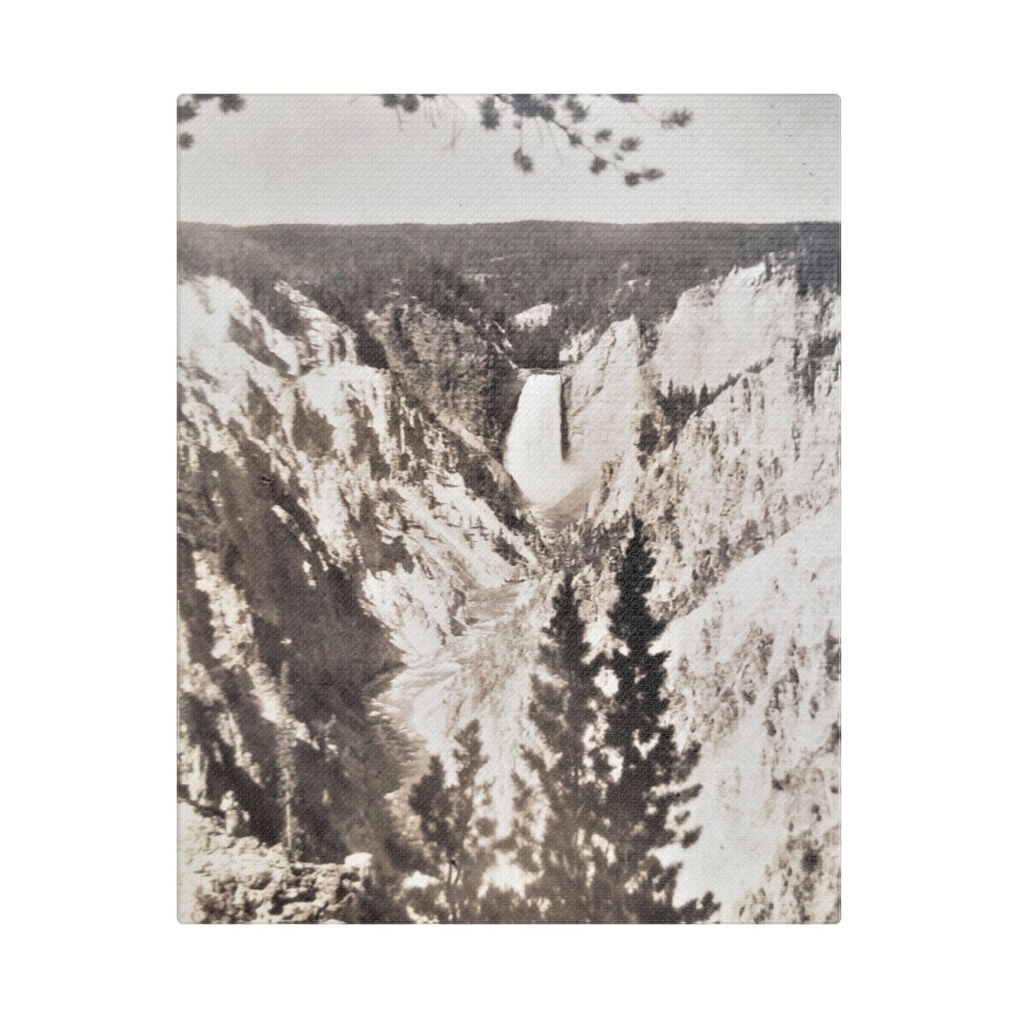 Artists Point Yellowstone Satin Canvas Stretched