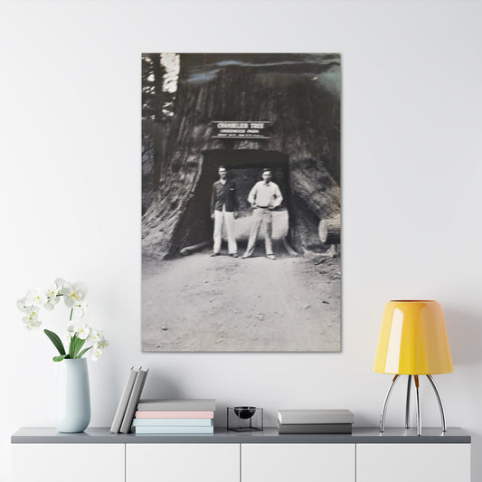 Chandelier Redwood Tree Canvas Gallery Wraps 32″ x 48″ 1.25"