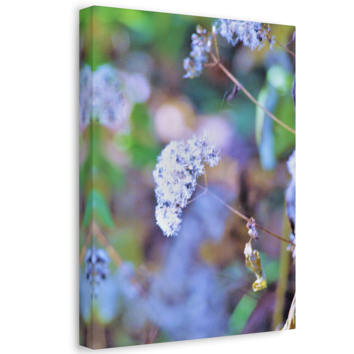 Macro Blue Stretched Canvas Printify