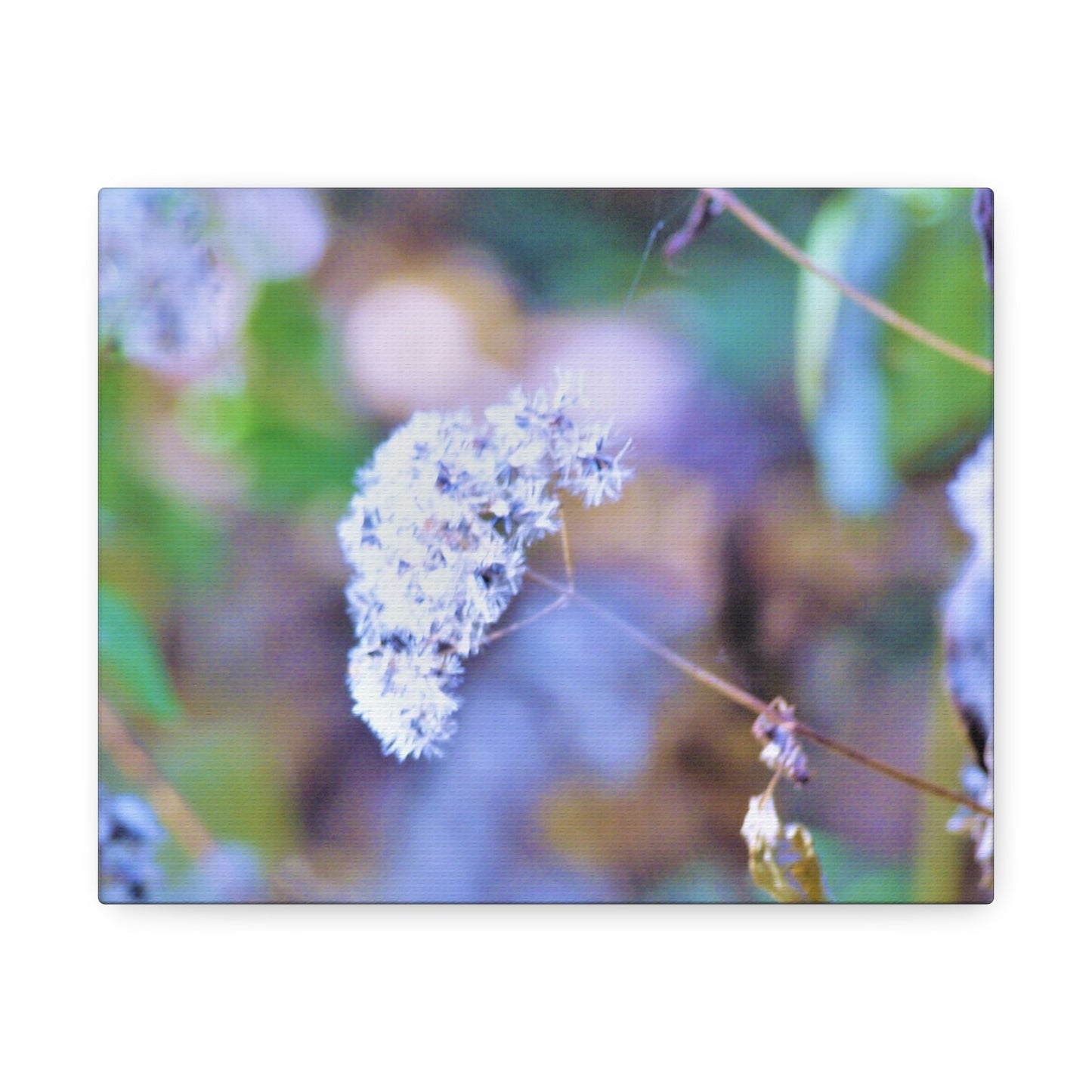 Macro Blue Stretched Canvas Printify