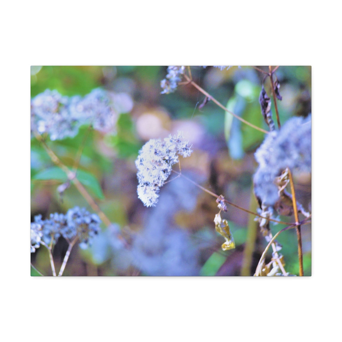 Macro Blue Stretched Canvas Printify