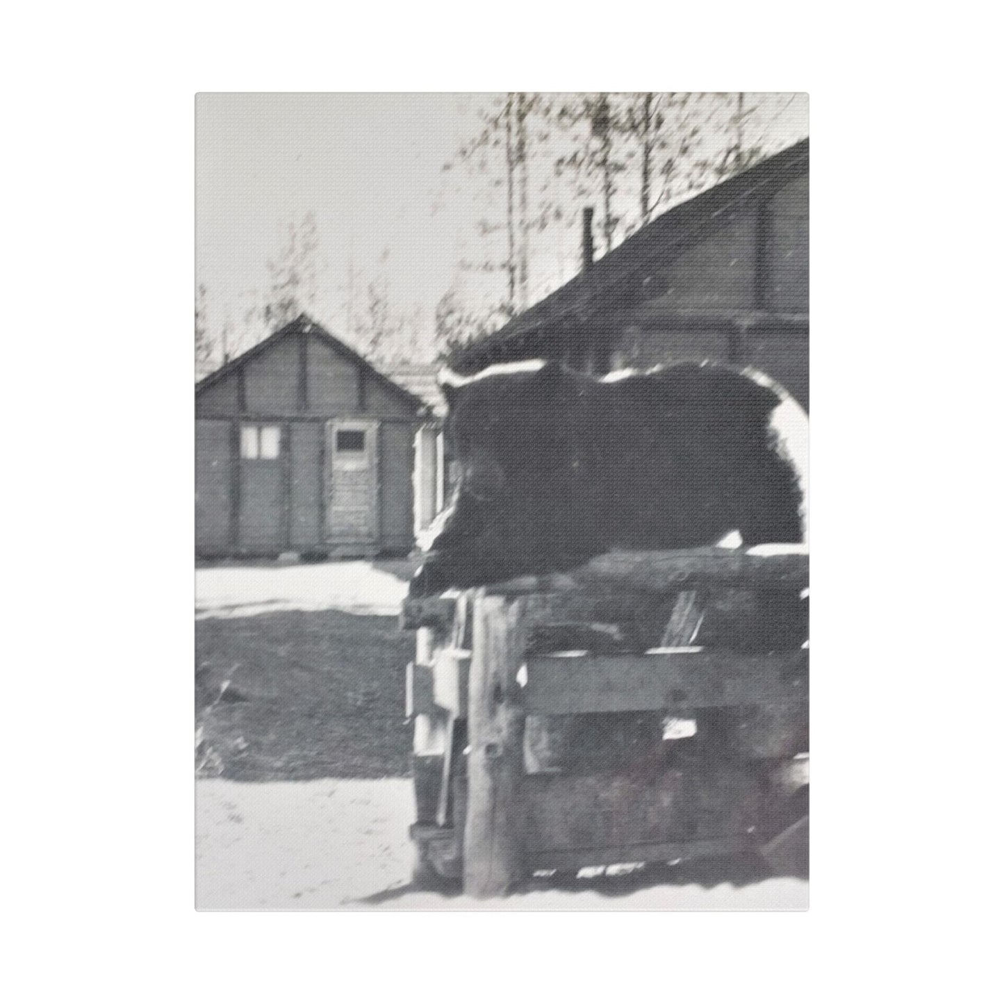 Yellowstone Bear Satin Canvas Stretched 12″ x 16″ (Vertical) 1.5"
