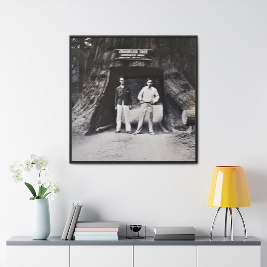 Chandelier Redwood Tree Gallery Canvas Wraps Square Frame 36″ x 36″ Premium Gallery Wraps (1.25″) Black